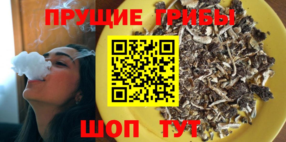 Галлюциногенные грибы Psilocybe Ярославль