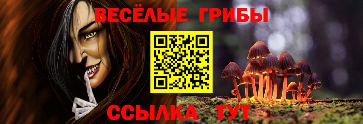 Галлюциногенные грибы Magic Shrooms  Вход с VPN  Ярославль 